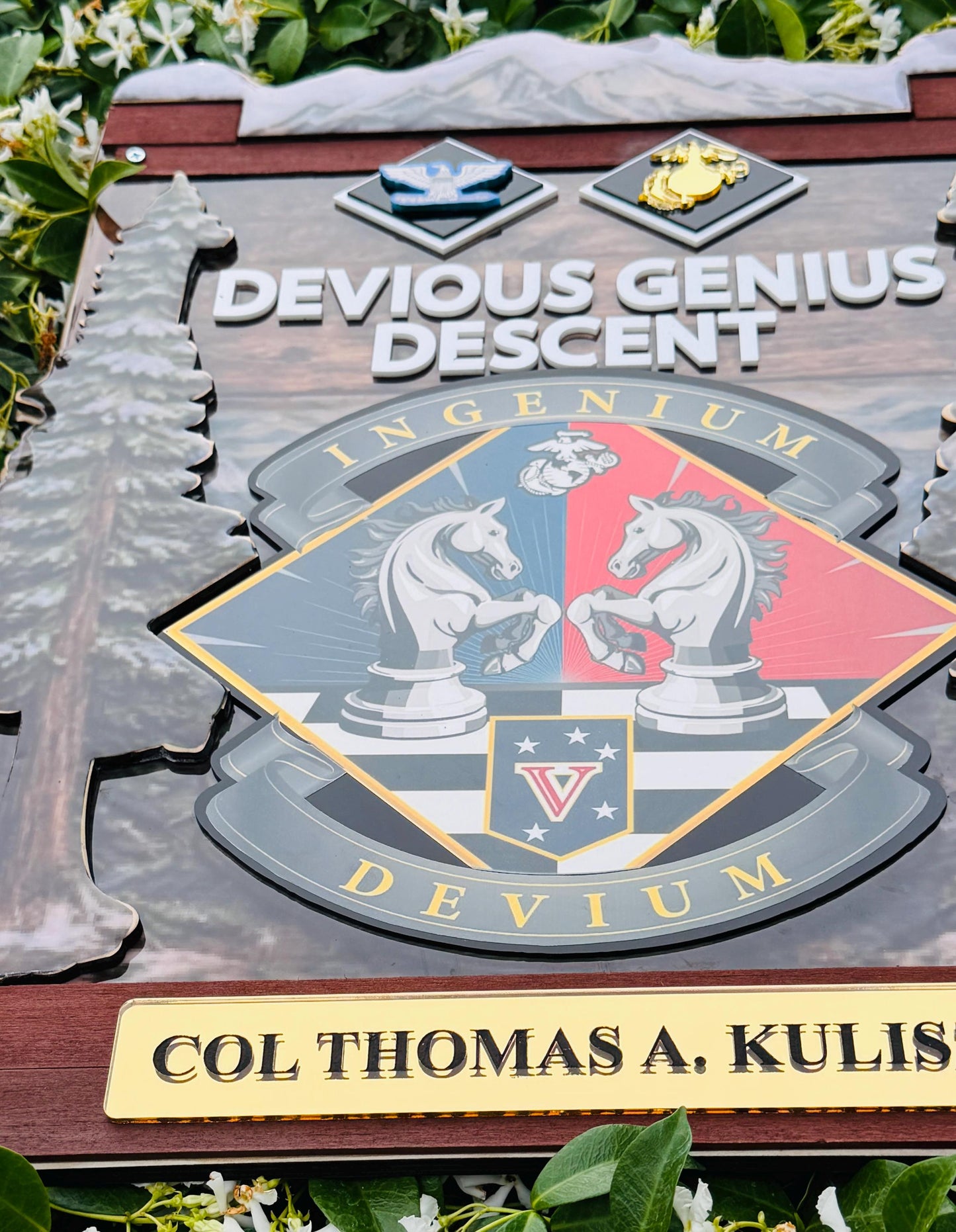 Marine corps plaques, Marine Corps retirement gift, marine corps gift, USMC plaque, Marine retirement, Marine retired, USMC License #286-23